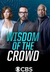 Wisdom of the Crowd (Serie TV)
