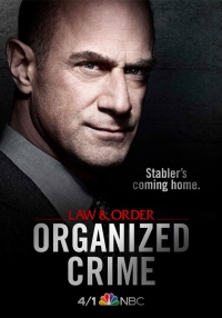 Law & Order: Organized Crime (Serie TV)